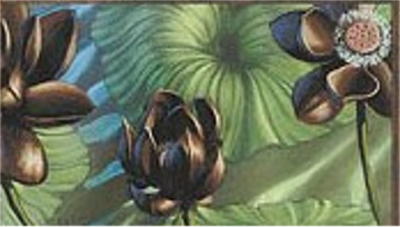 カード紹介：水蓮の花 | mtg-story